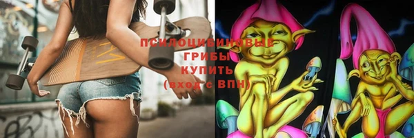 твердый Медвежьегорск