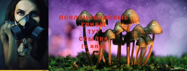 гашик Магадан