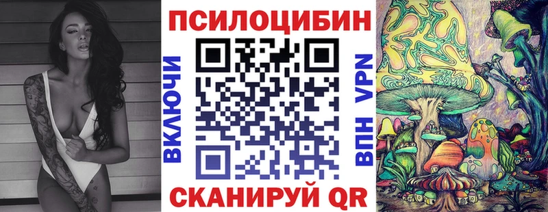 Галлюциногенные грибы мухоморы как найти закладки кракен зеркало Новомичуринск